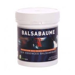 BALSABAUME                     fl/250 ml sol ext