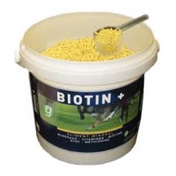 BIOTIN +                       b/1,4 kg  pdr or