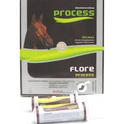 FLORE PROCESS CHEVAL           b/5*20 ml pate or