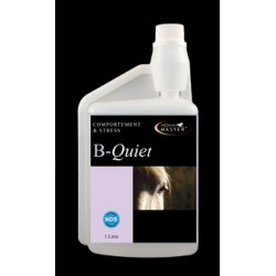 B QUIET   seringue oral ou flacon de 1 litre